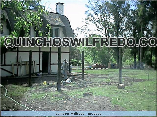 Quinchos Wilfredo