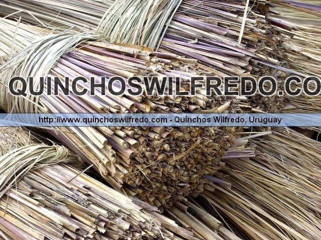 Quinchos Wilfredo
