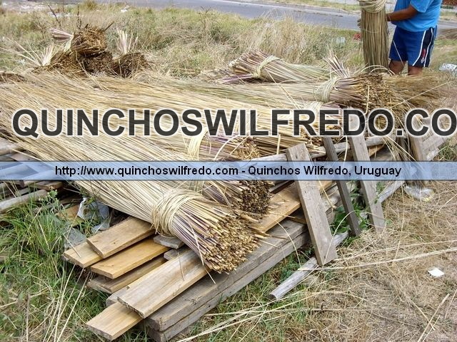 Quinchos Wilfredo