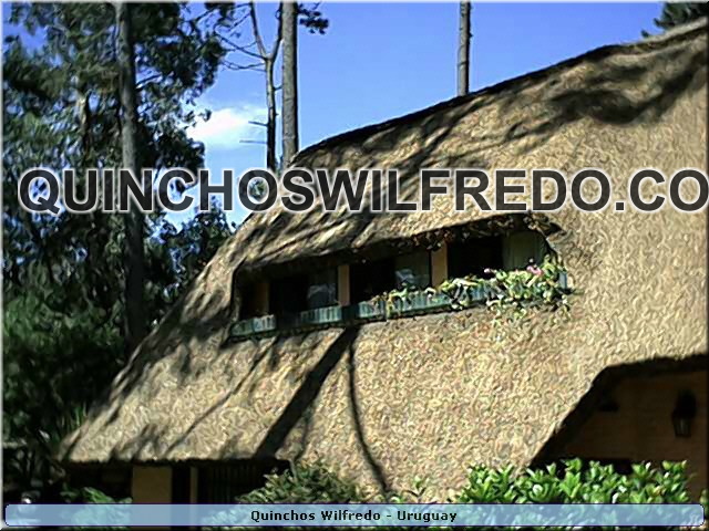 Quinchos Wilfredo