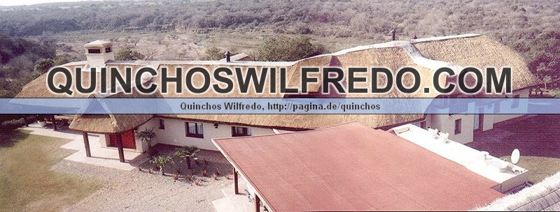 Quinchos Wilfredo