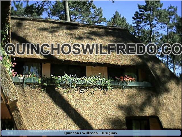 Quinchos Wilfredo