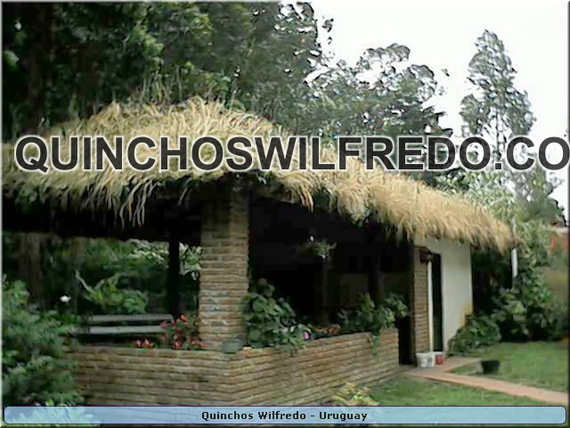 Quinchos Wilfredo
