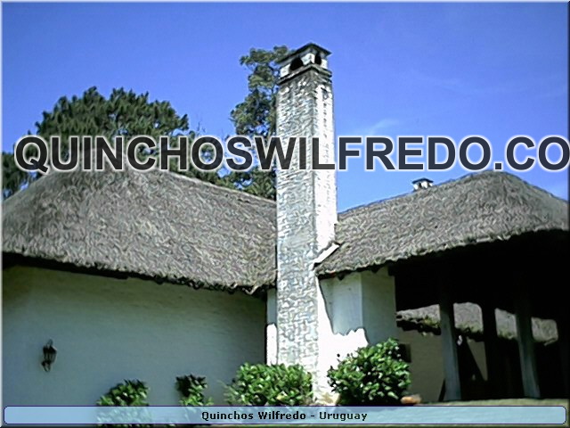 Quinchos Wilfredo