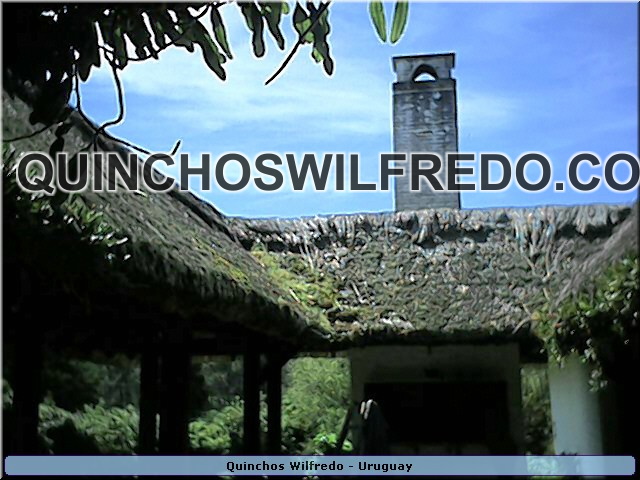 Quinchos Wilfredo