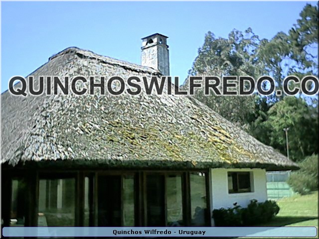 Quinchos Wilfredo