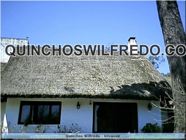 Quinchos Wilfredo