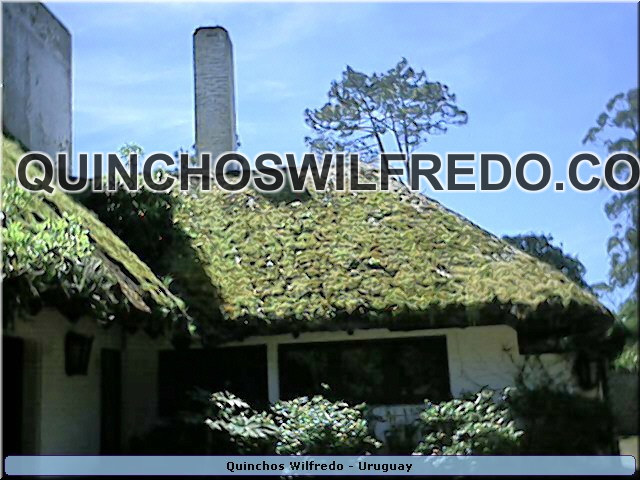 Quinchos Wilfredo