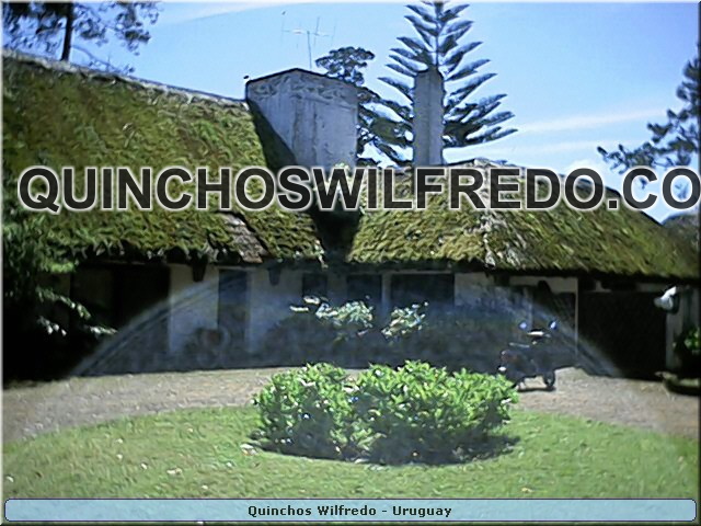 Quinchos Wilfredo