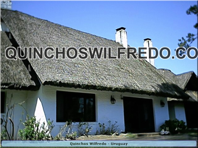 Quinchos Wilfredo
