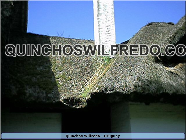 Quinchos Wilfredo