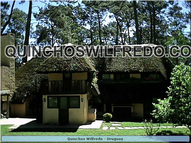 Quinchos Wilfredo