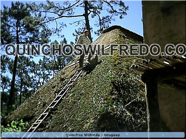 Quinchos Wilfredo