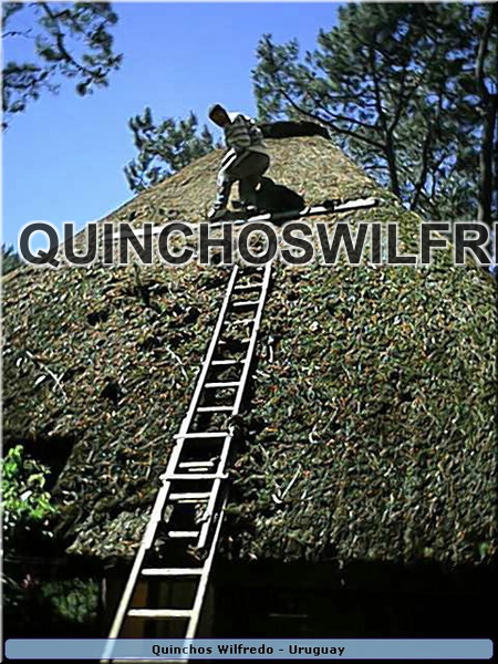 Quinchos Wilfredo