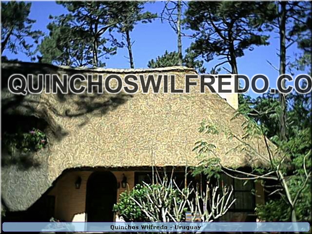 Quinchos Wilfredo