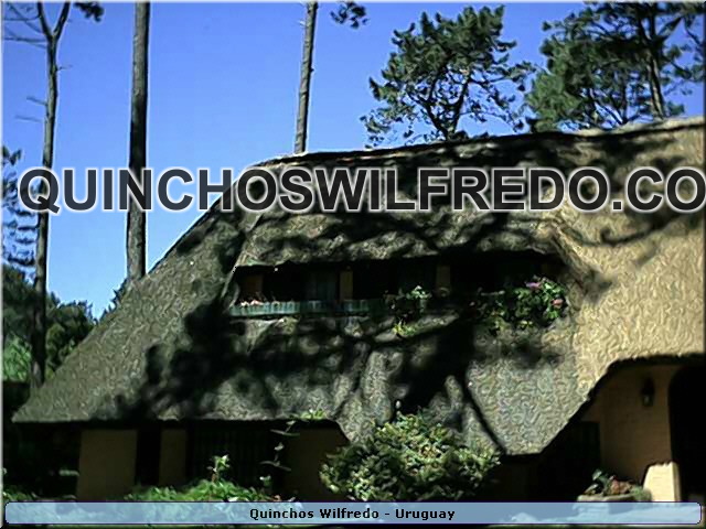 Quinchos Wilfredo