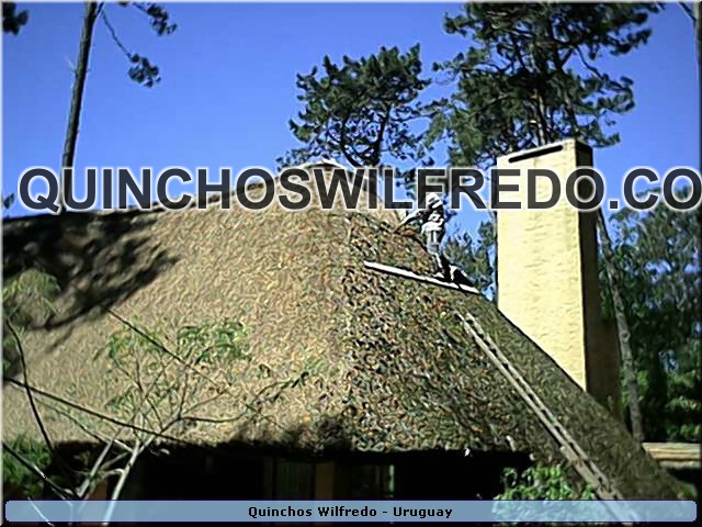 Quinchos Wilfredo