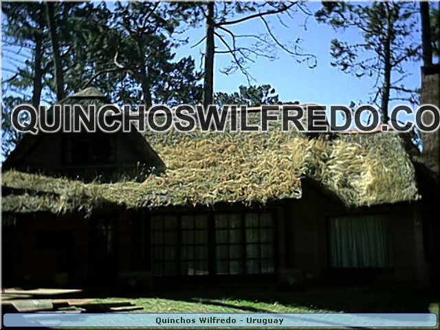 Quinchos Wilfredo