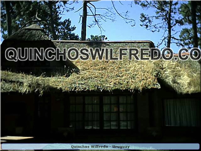 Quinchos Wilfredo