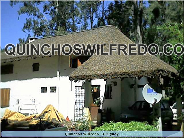 Quinchos Wilfredo