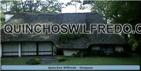 Quinchos Wilfredo