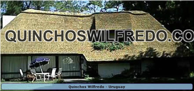 Quinchos Wilfredo