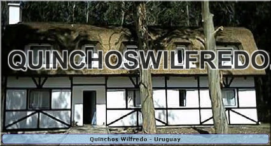 Quinchos Wilfredo
