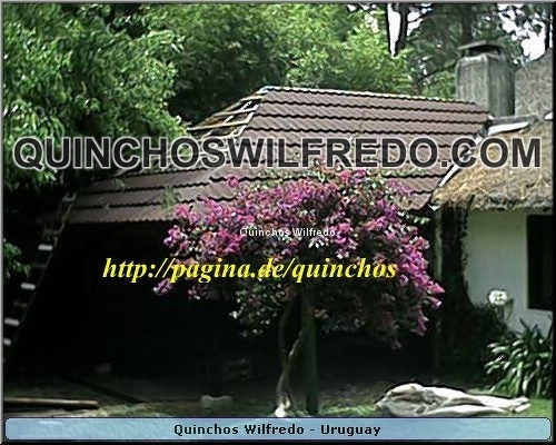 Quinchos Wilfredo