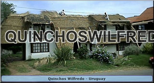 Quinchos Wilfredo