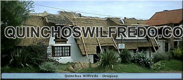 Quinchos Wilfredo