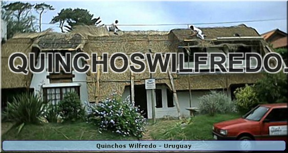 Quinchos Wilfredo