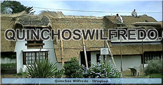 Quinchos Wilfredo