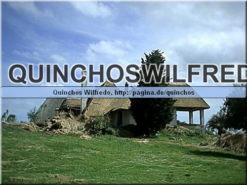 Quinchos Wilfredo