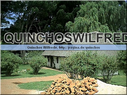Quinchos Wilfredo