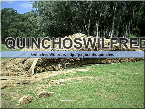 Quinchos Wilfredo