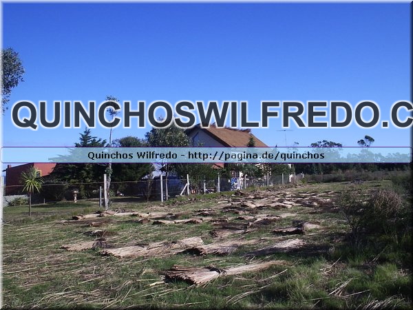 Quinchos Wilfredo