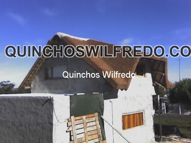 Quinchos Wilfredo