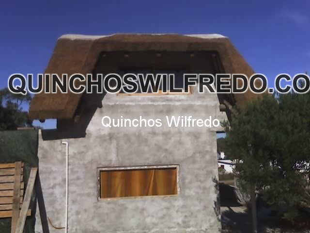 Quinchos Wilfredo