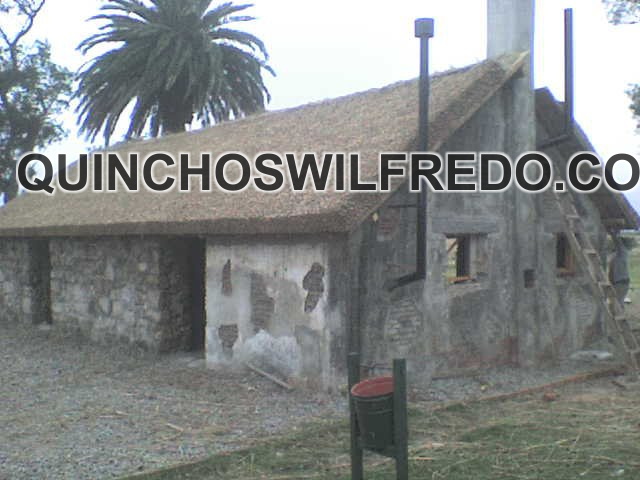 Quinchos Wilfredo