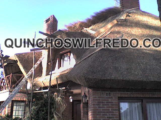 Quinchos Wilfredo