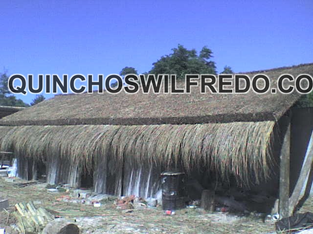 Quinchos Wilfredo