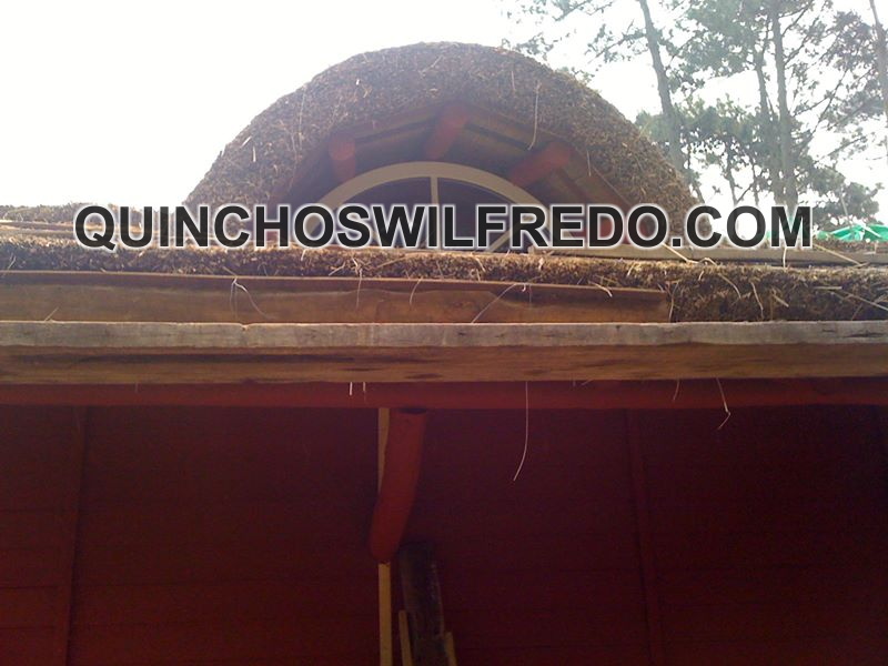 Quinchos Wilfredo