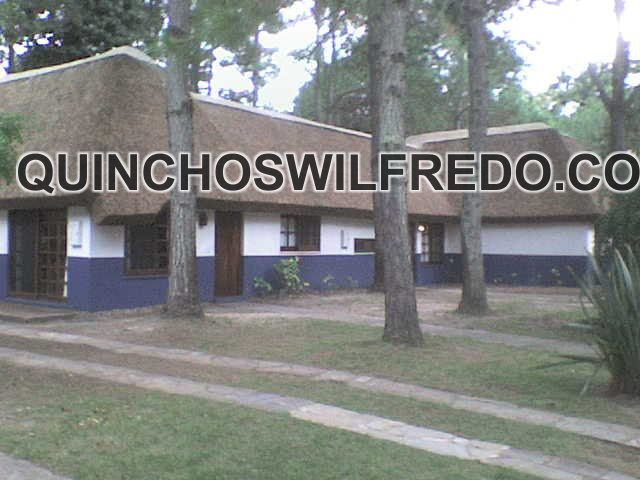 Quinchos Wilfredo