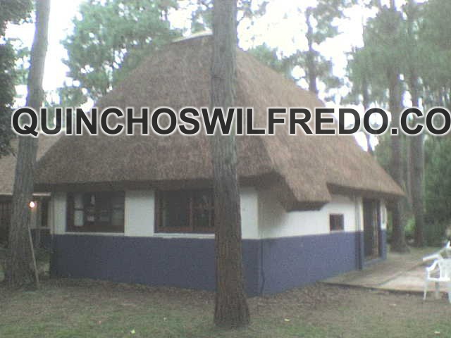 Quinchos Wilfredo