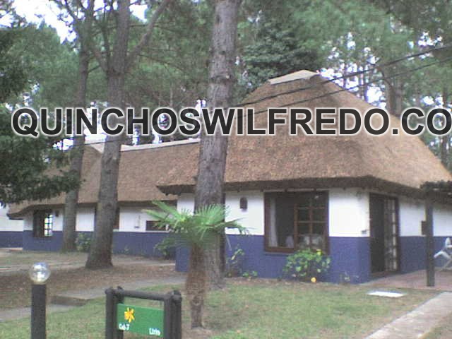 Quinchos Wilfredo
