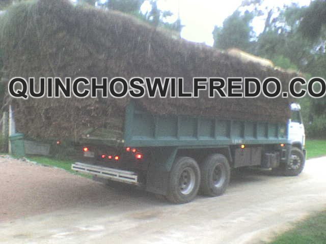 Quinchos Wilfredo