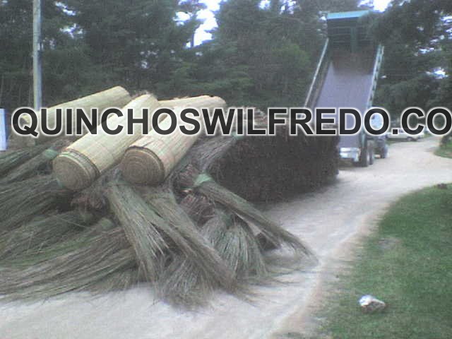 Quinchos Wilfredo