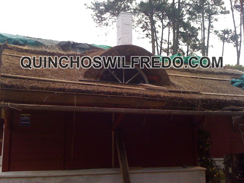 Quinchos Wilfredo
