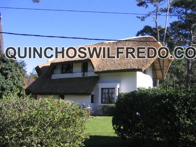 Quinchos Wilfredo