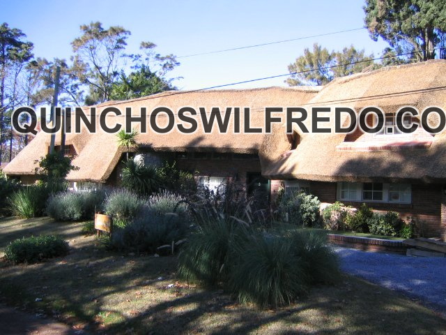 Quinchos Wilfredo